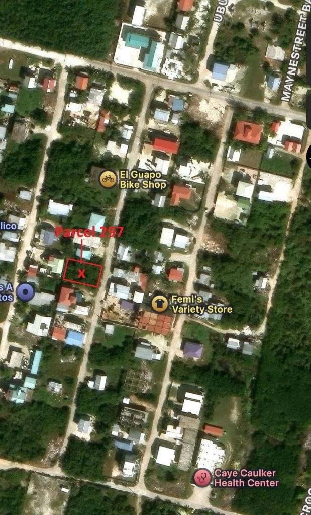 Affordable 5,000 sq ft Lot in the Bahia Neighborhood - Photo 3
