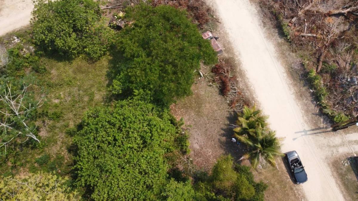 Unique opportunity to own prime land near the Caribbean Sea in Toledo - Photo 6