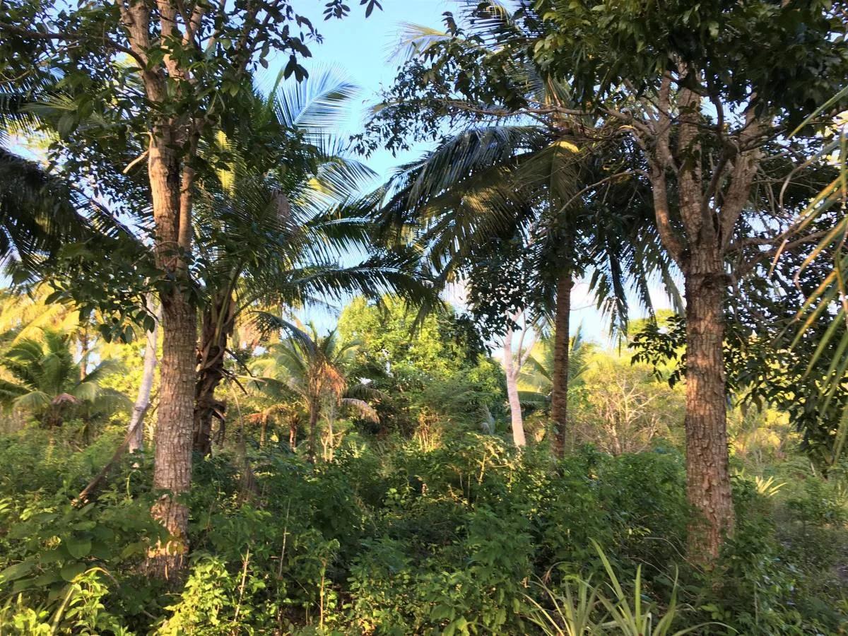 Honey Camp Lagoon - Photo 2