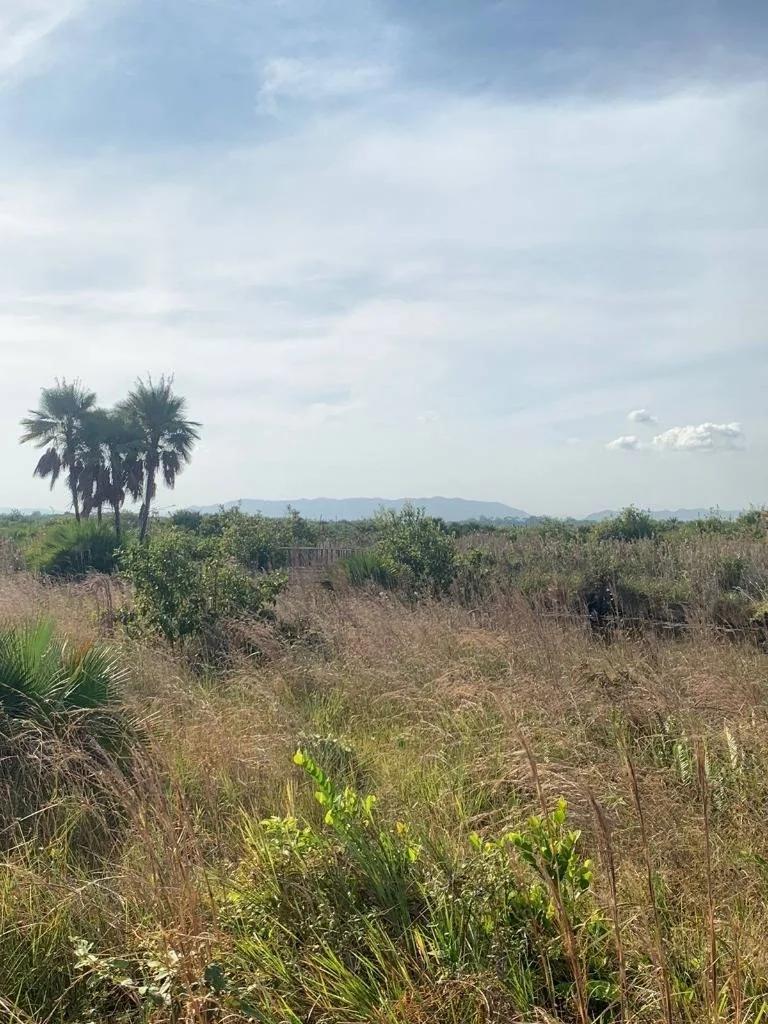 Caribbean Way Residential Lots Available in Placencia  !! - Photo 2