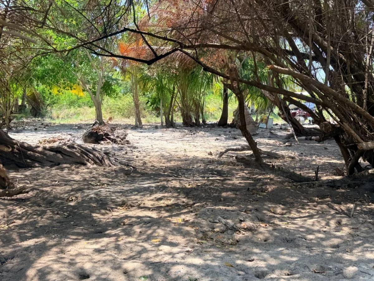 Lush Off-Grid Waterfront Opportunity – North Caye Caulker - Photo 3