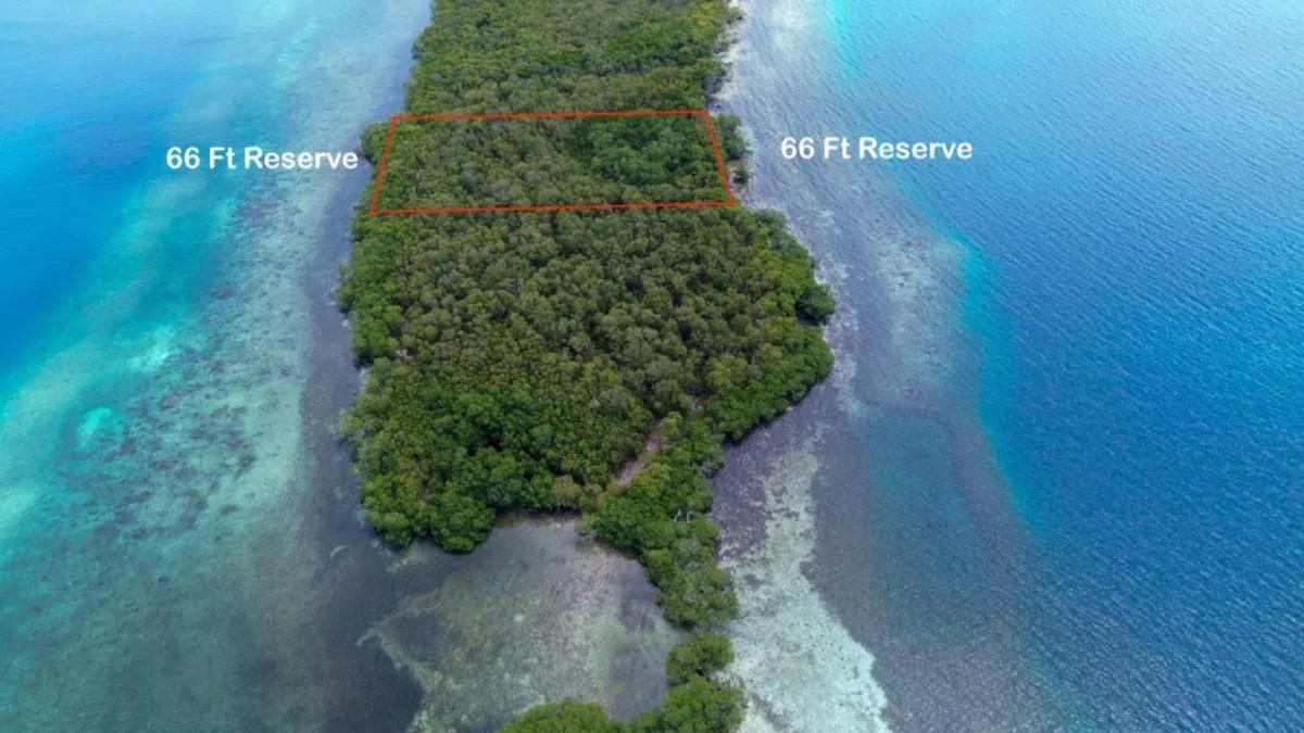 Idyllic Island Lifestyle with 2.031 Acres Of Perfection on Saddle Caye - Photo 3