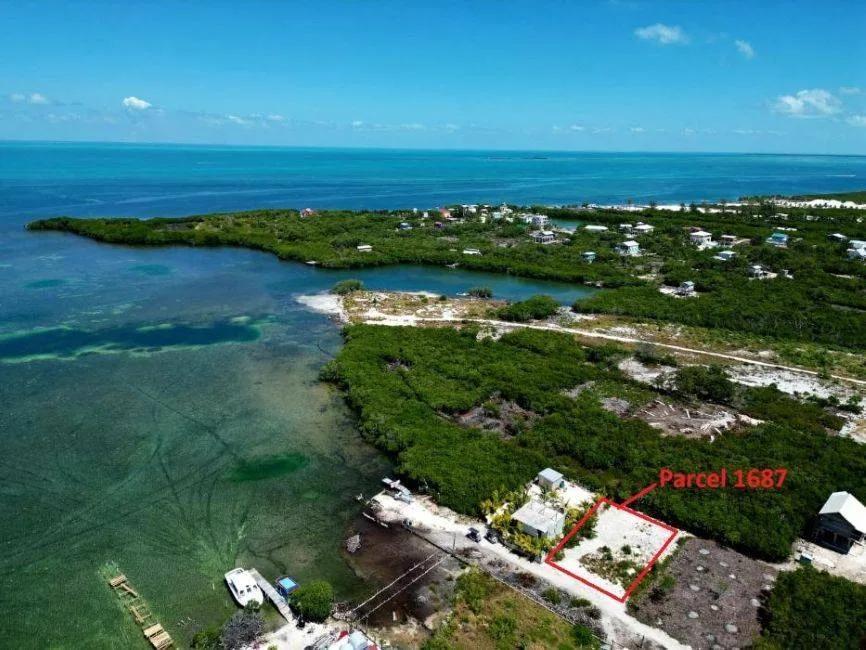 Prime Lot Near The Sea- North Island - Photo 6