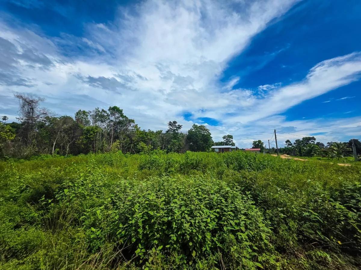 Attractive Lot in Hope Creek Village - Photo 7