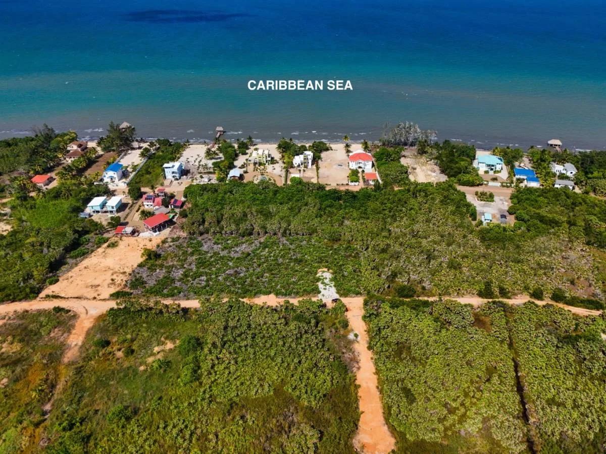 Triple Lot Opportunity (Over 1+ Acre) - Photo 6