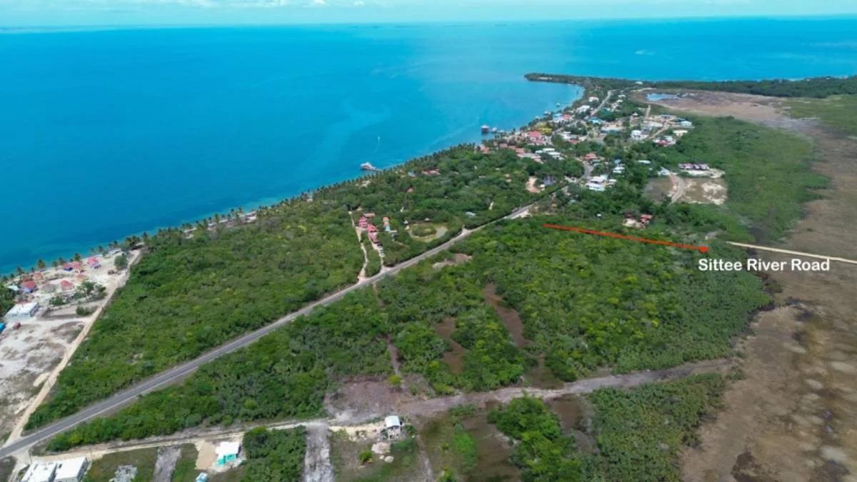 Prime Parcel in the Hopkins Hotel Zone, Offering Exceptional Potential - Photo 7