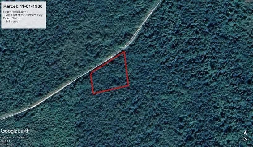 Prime Land for Sale Between Carmelita Vill. and Biscayne, just 10 minutes off Philip Goldson Hwy - Photo 5