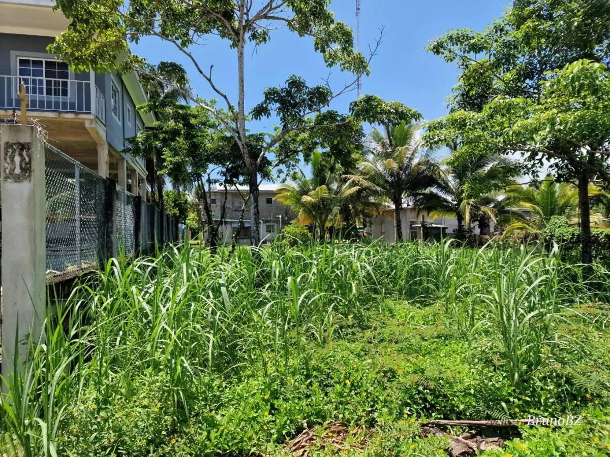 Affordable House Lot for Sale in Punta Gorda Town - Photo 3