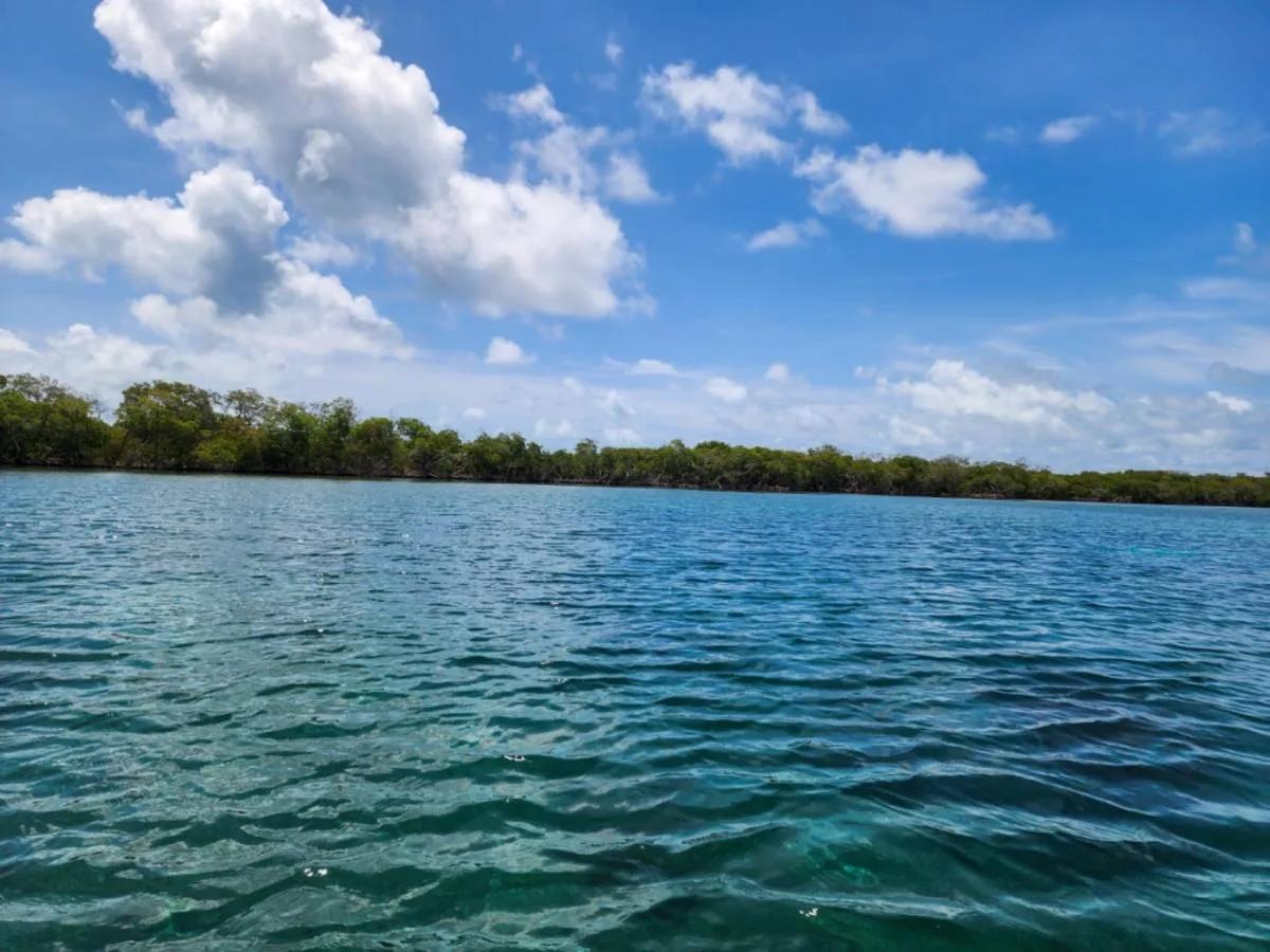 Idyllic Island Lifestyle with 2.031 Acres Of Perfection on Saddle Caye - Photo 7