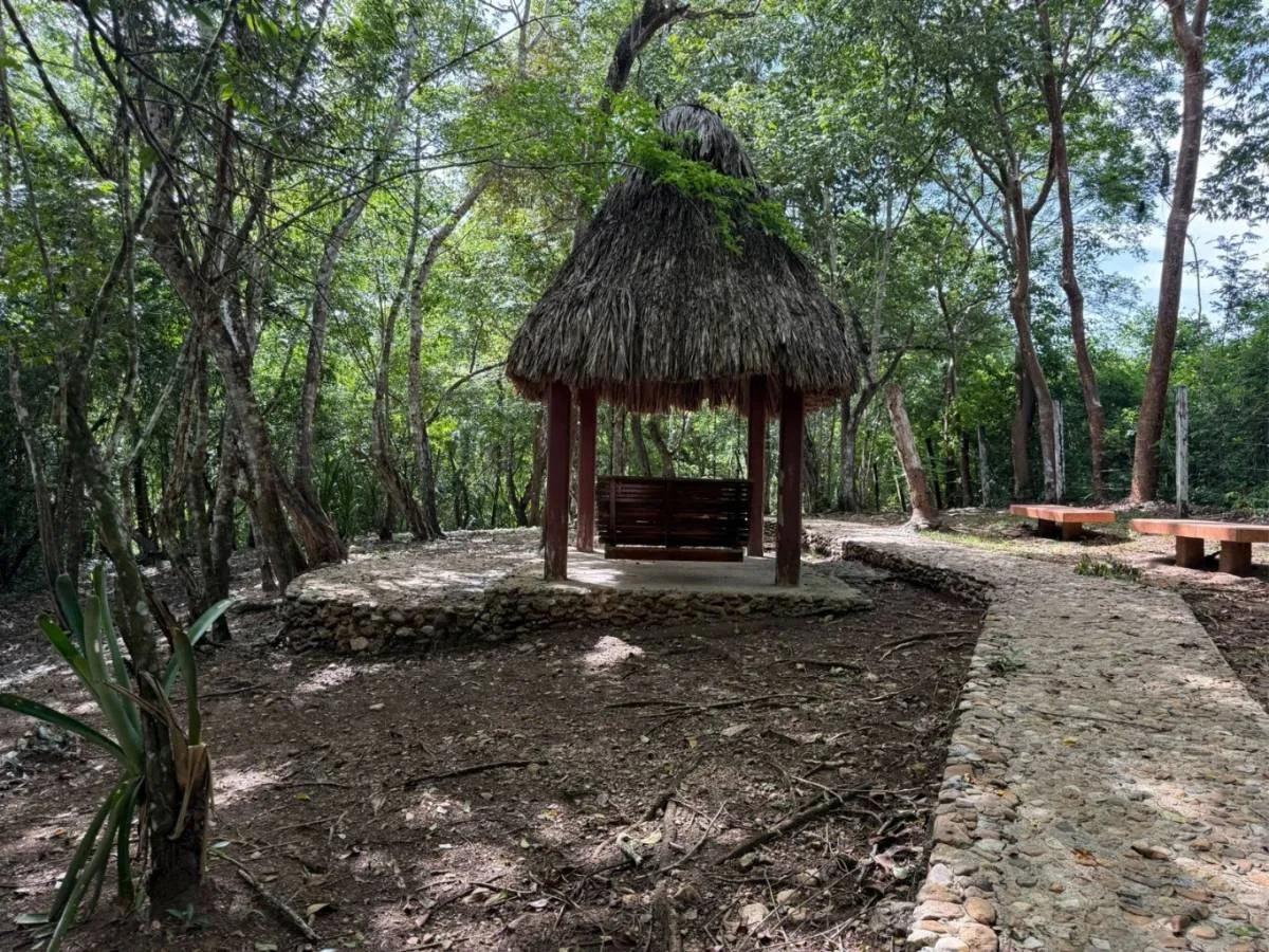 Investor’s Dream – 46+ Acres with Highway & River Frontage in Cristo Rey, Cayo District - Photo 8