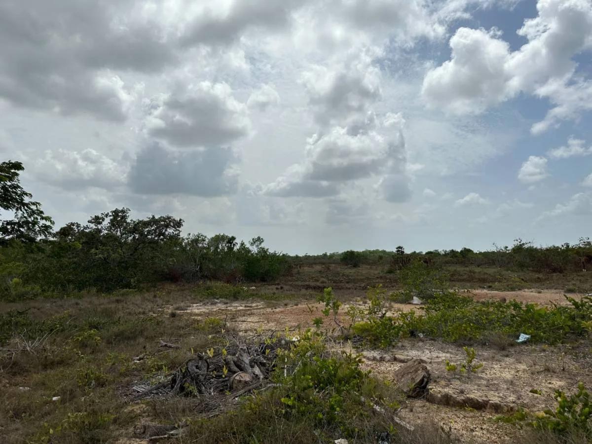22.577 Acres of pure tranquility - Photo 3