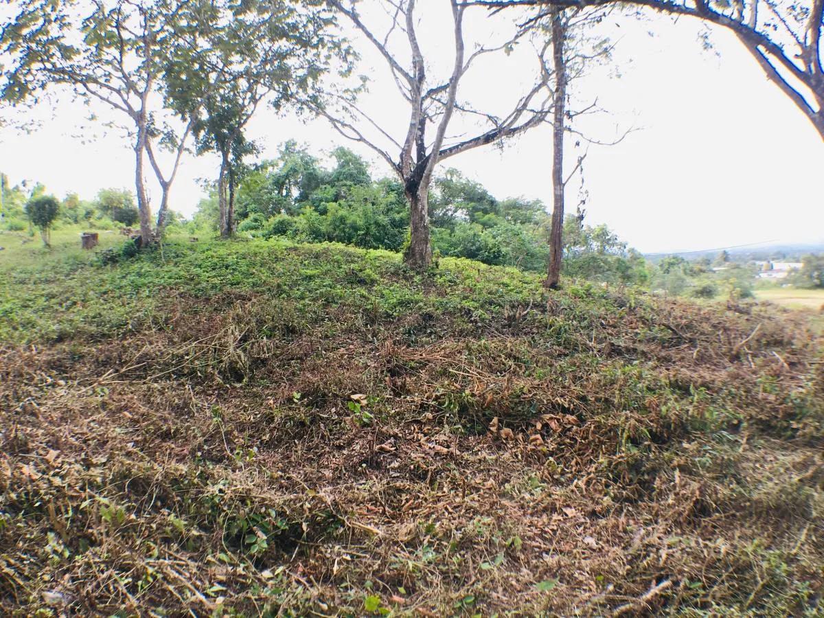 HILL TOP LOT FOR SALE IN SANTA ELENA, CAYO, BELIZE - Photo 4
