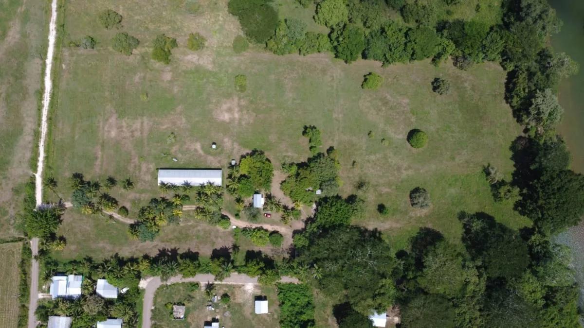 11-Acre Horse Farm on the Belize River - Photo 3