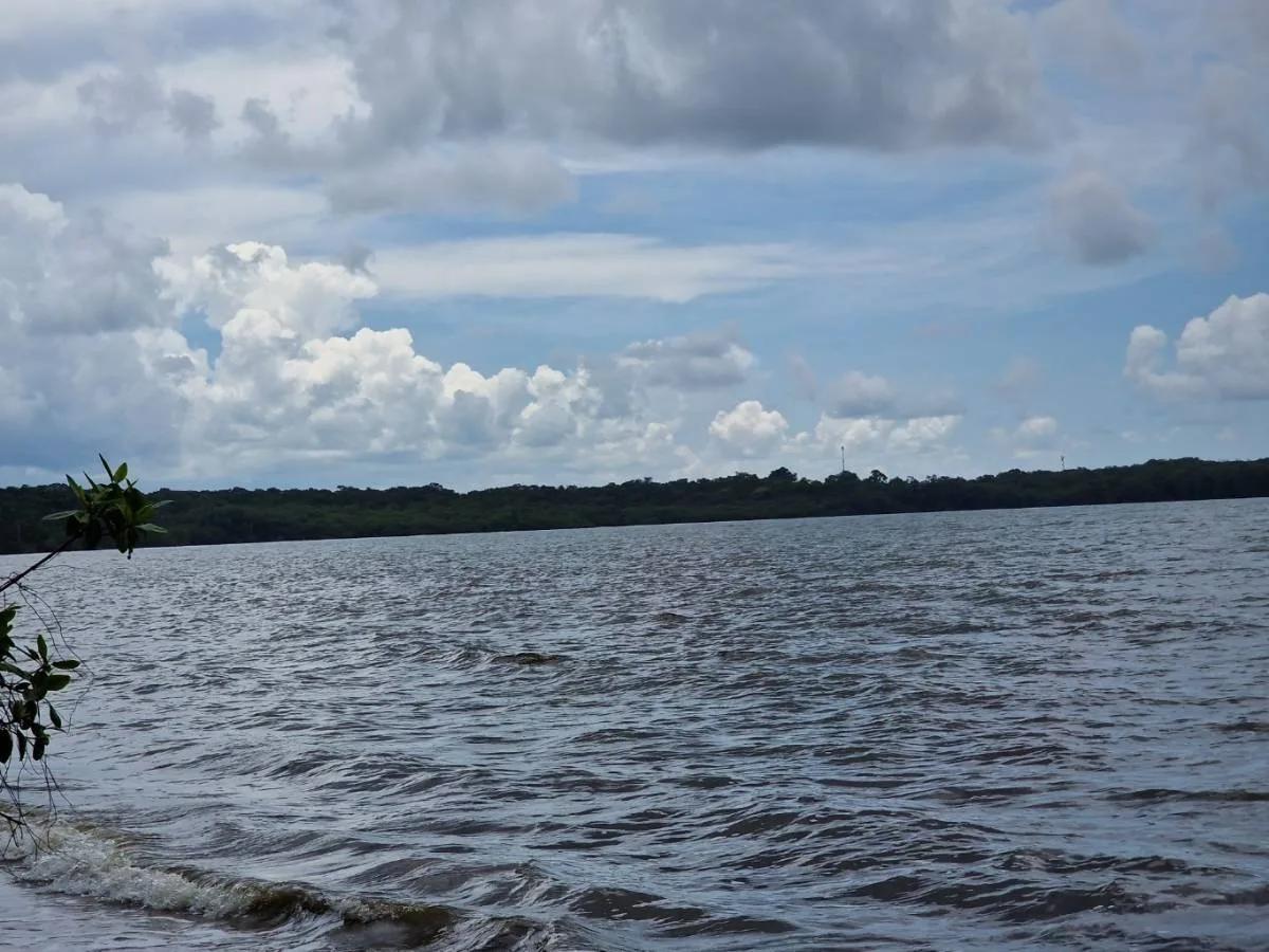 Searching for prime waterfront land for sale in Toledo ideal for development in a tranquil location? - Photo 3