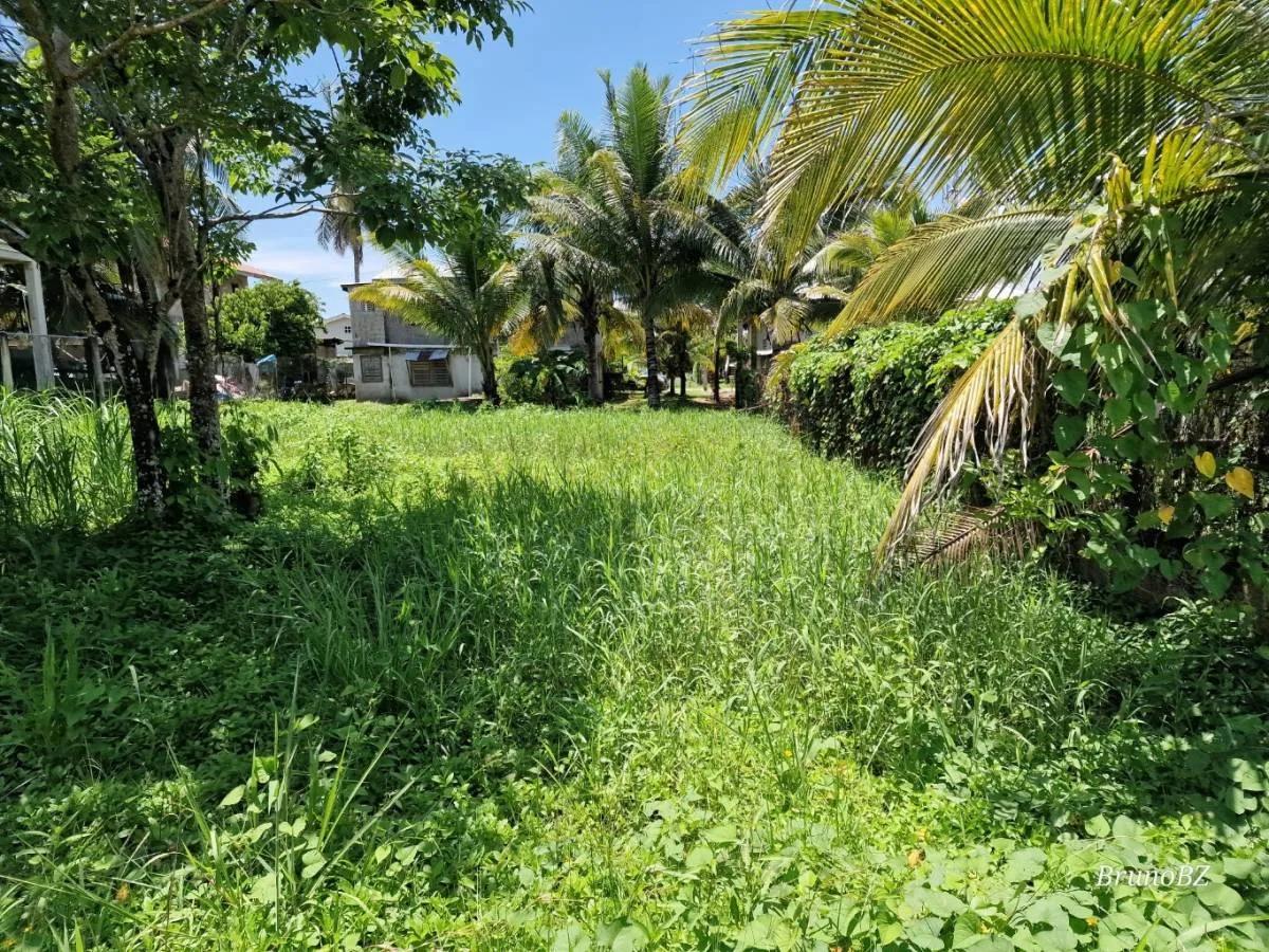 Affordable House Lot for Sale in Punta Gorda Town - Photo 2