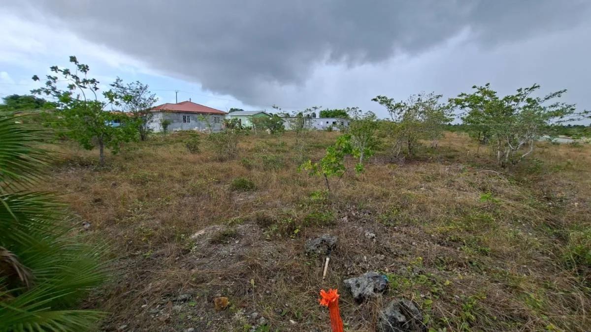 Residential lots in the growing, private community of Los Lagos just 15 minutes from Belize City! - Photo 5