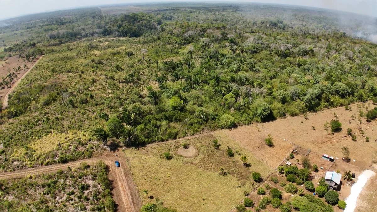 Escape to 25 acres of Agricultural Paradise near Belmopan - Photo 6