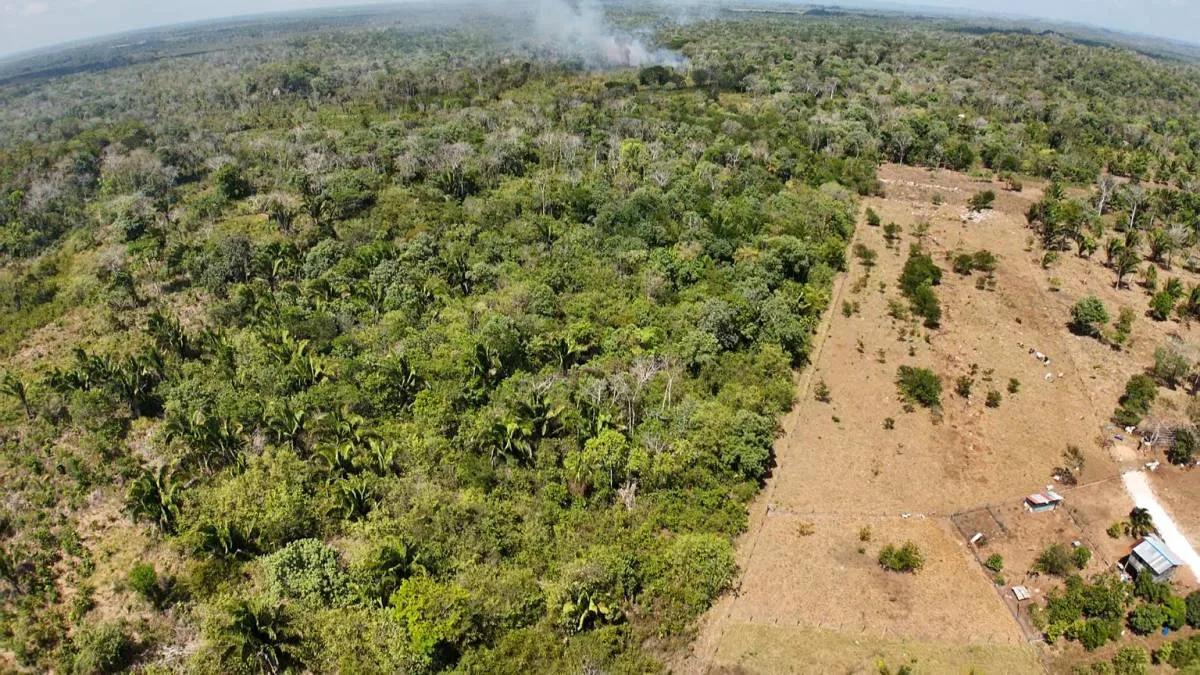 Escape to 25 acres of Agricultural Paradise near Belmopan - Photo 5