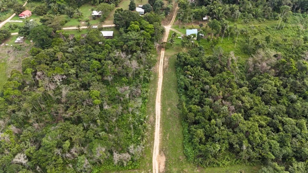 Beautiful 4 parcels high, dry land ready for development in Toledo, Belize
