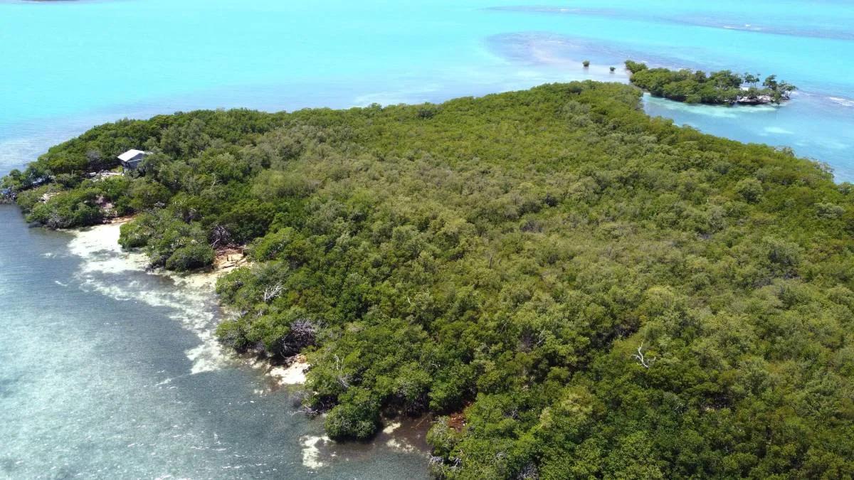 Secluded Private Island – Sand Fly Caye - Photo 8