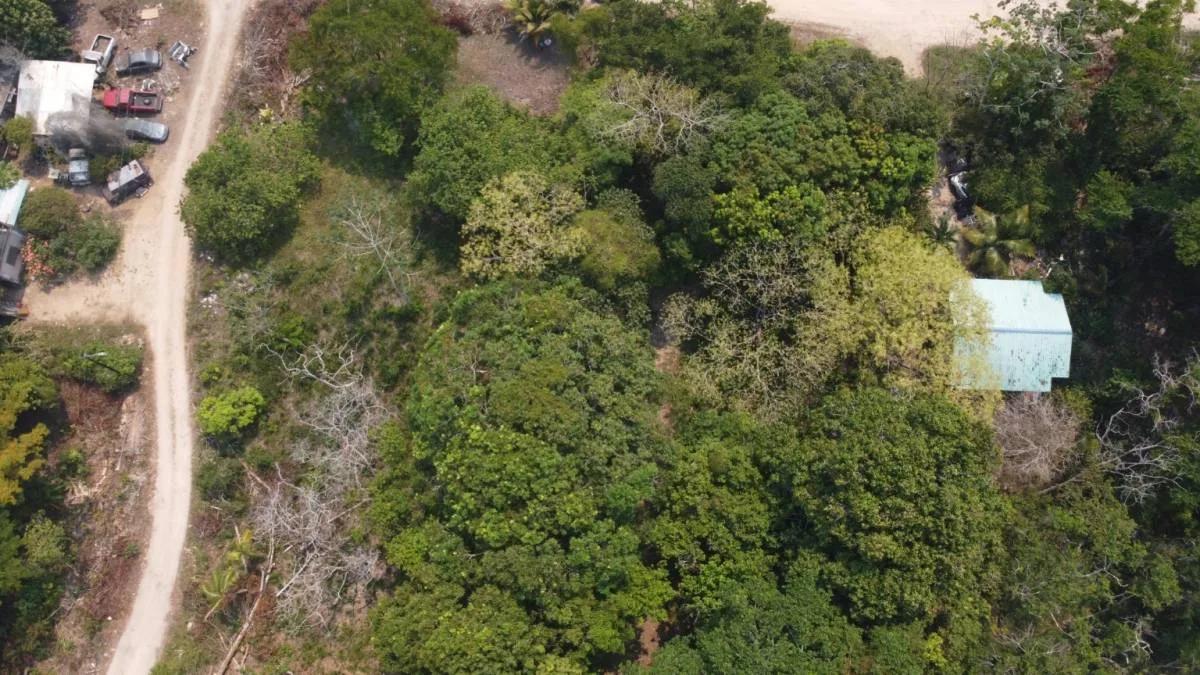 Unique opportunity to own prime land near the Caribbean Sea in Toledo - Photo 3