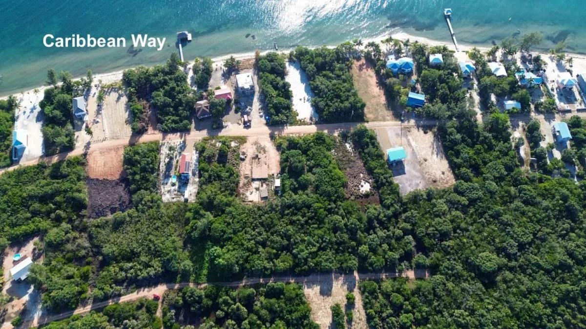 Paradise Found: Caribbean Way Estates - Photo 5