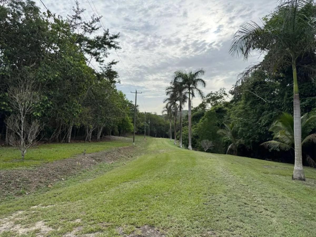 Investor’s Dream – 46+ Acres with Highway & River Frontage in Cristo Rey, Cayo District - Photo 3