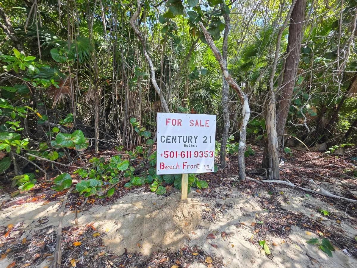 5.11 Acres of Beachfront Paradise in Commerce Bight - Photo 6