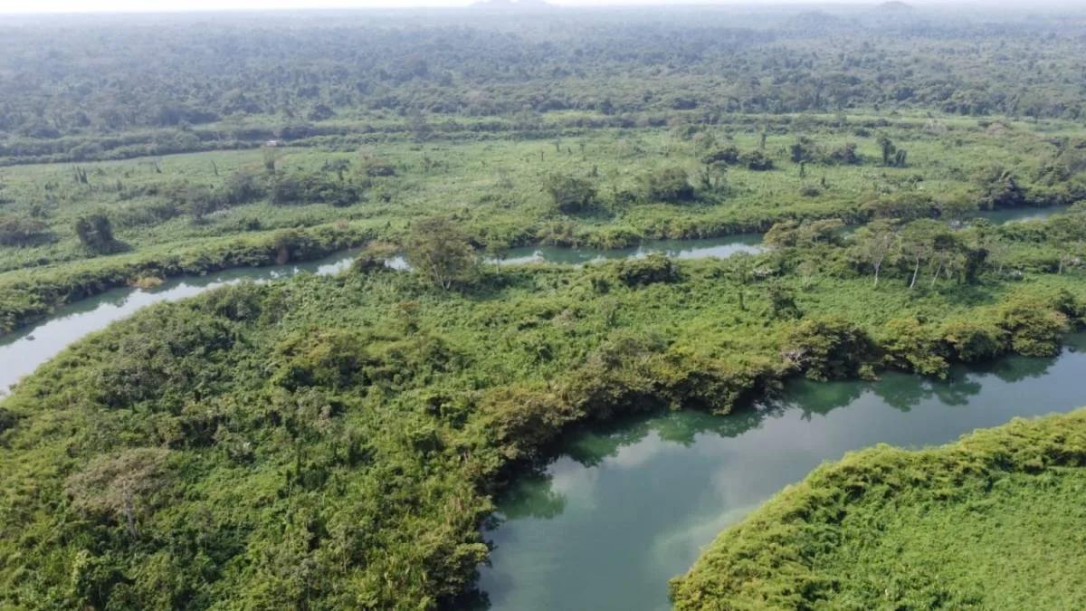 "Riverside Tranquility: 30.119 Acres of Pristine Paradise near San Felipe Village, Toledo" - Photo 5