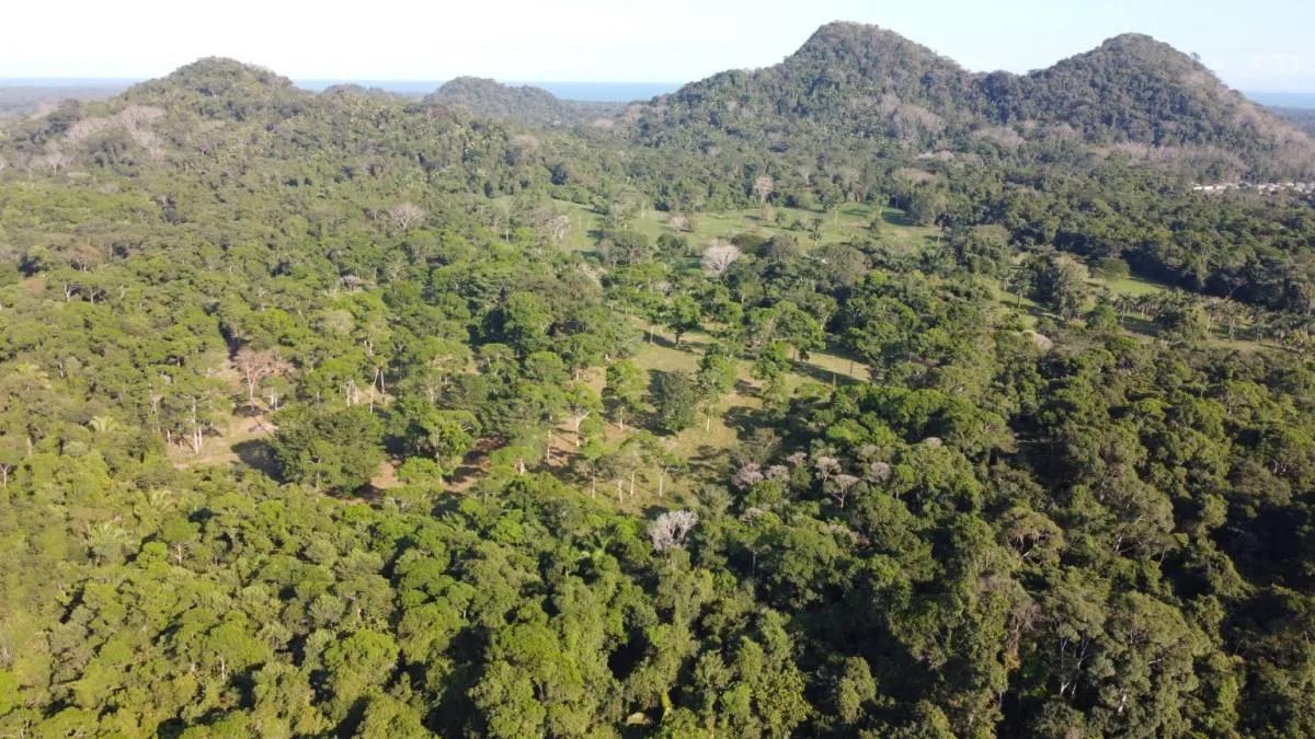 Amazing 1 acre property in Eldrigeville FOR SALE! - Photo 7