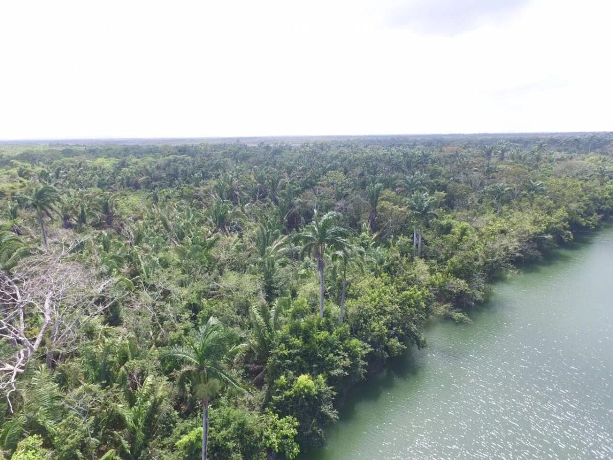 Pristine River Front Plots - Photo 7