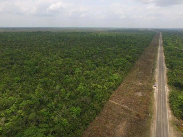 Large Untouched Acreage - Photo 2