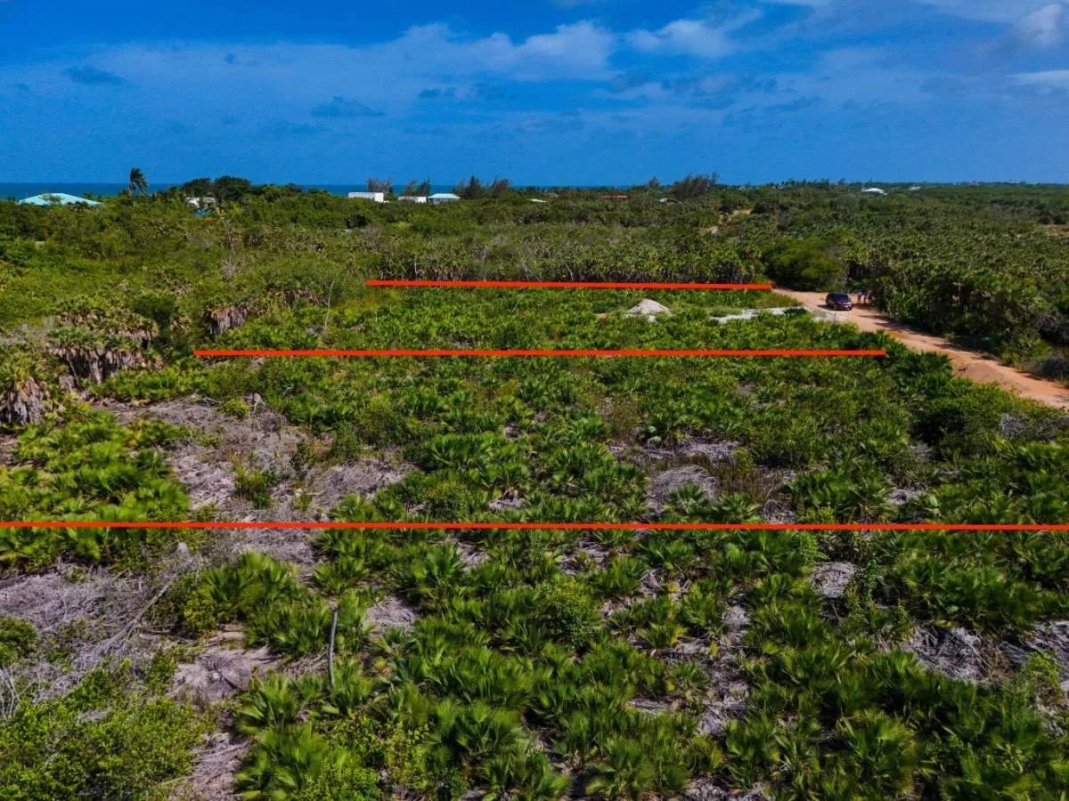Large Caribbean Way Lots - Photo 3