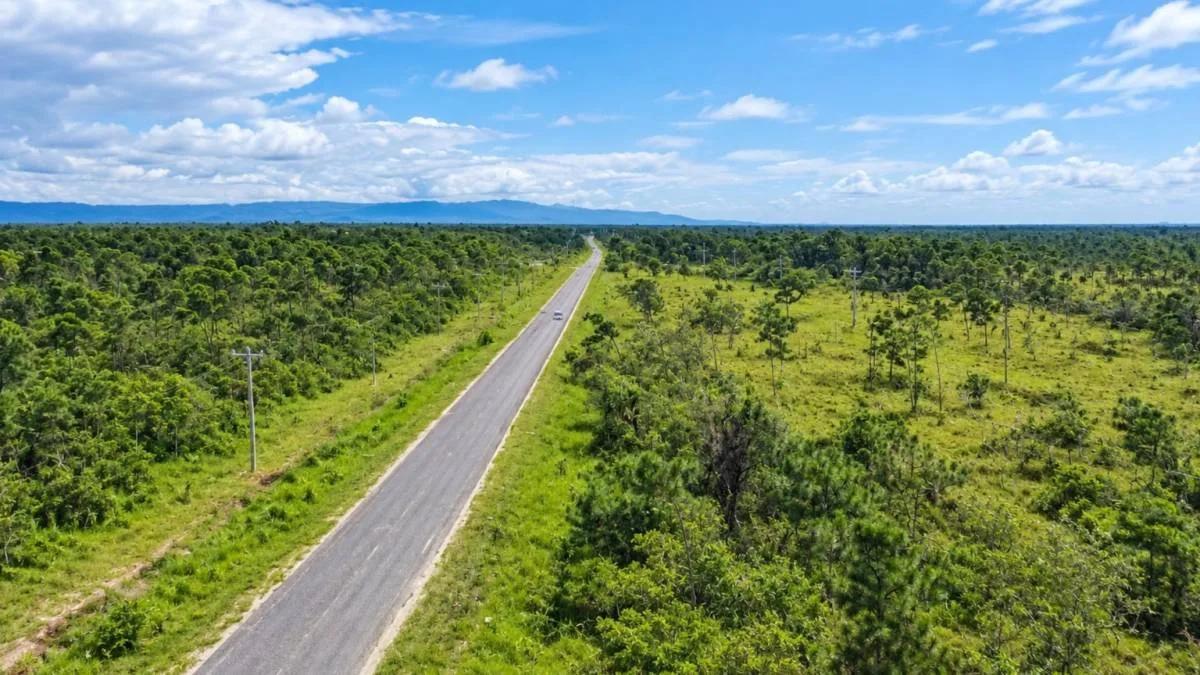 20-Acre Highway-Front Property for Sale | Southern Belize - Photo 6