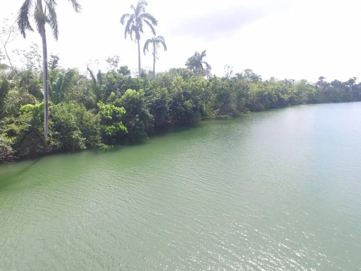 Pristine River Front Plots - Photo 5