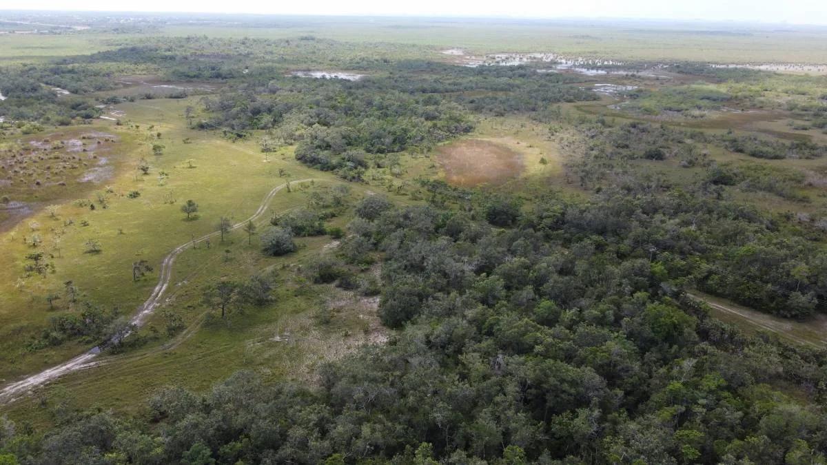 100 acres on John Smith Road - Photo 6