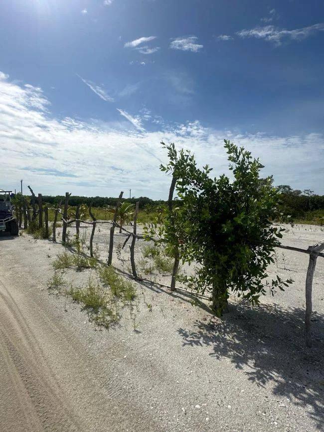 ONE LOT LEFT-Cleared High Lots- -North Island, Caye Caulker