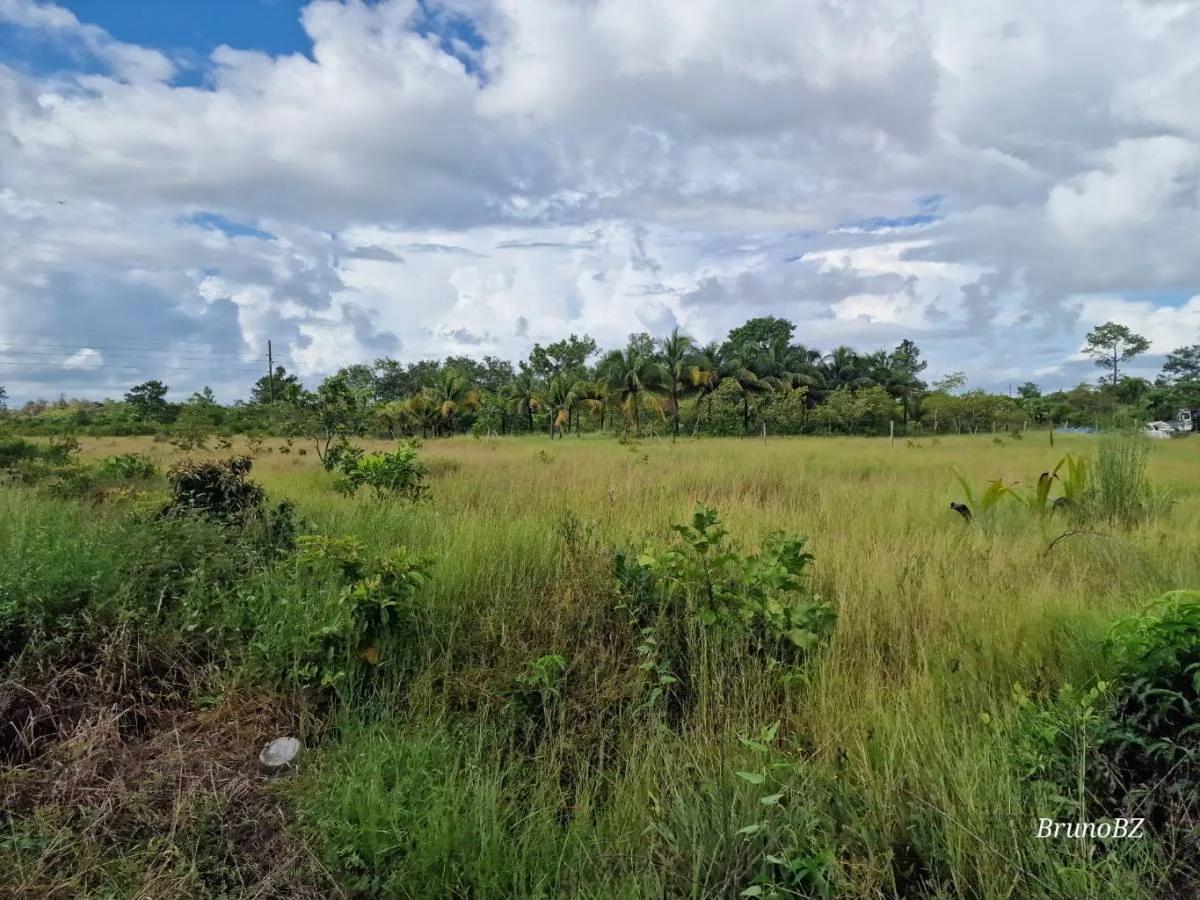1 acre investment property in Bella Vista (Toledo) For Sale! - Photo 7