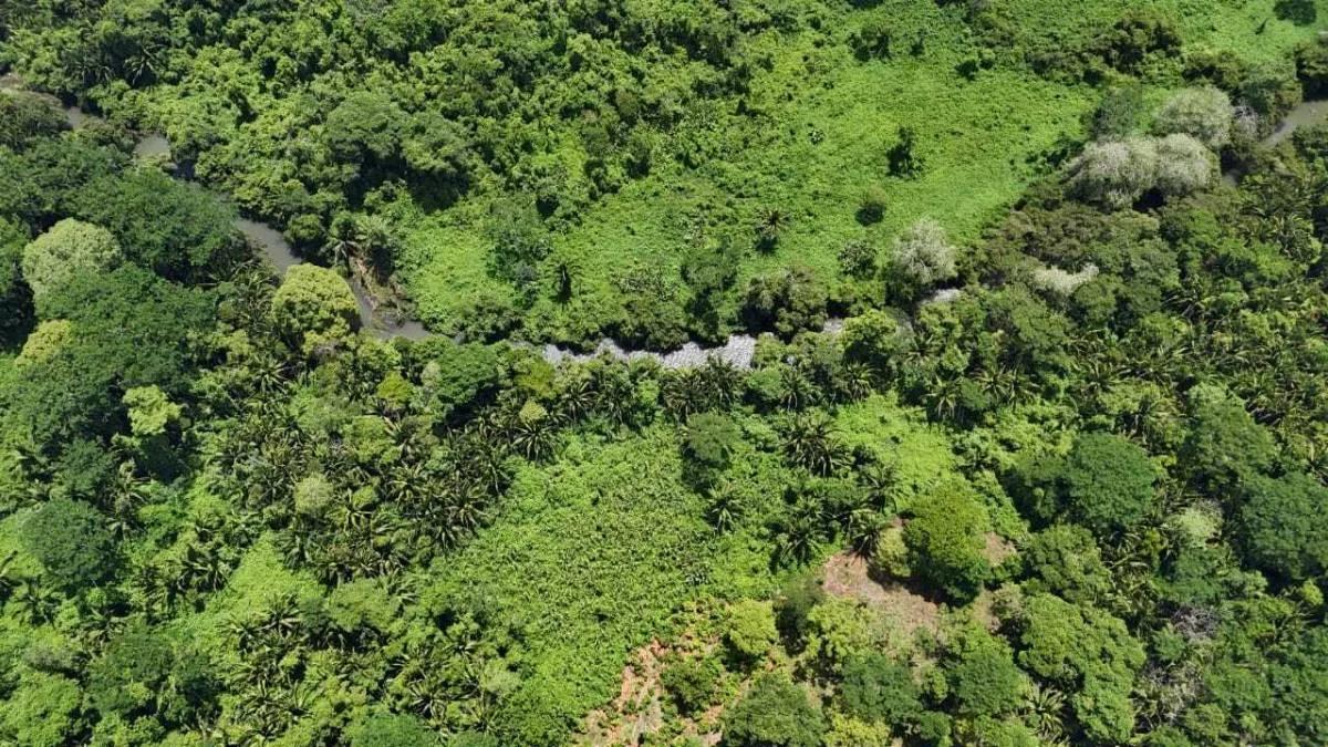 Riverside Tropical Investment – 30 & 12.3 Acres on the Rio Grande, Big Falls