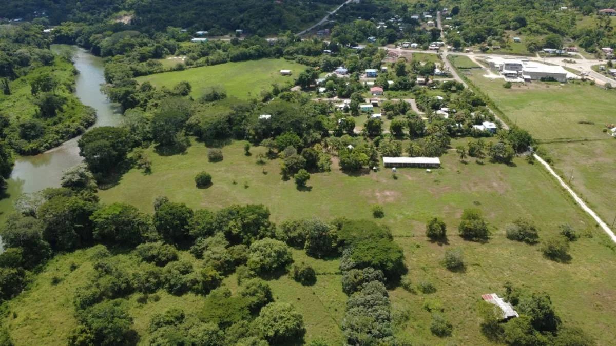 11-Acre Horse Farm on the Belize River - Photo 2