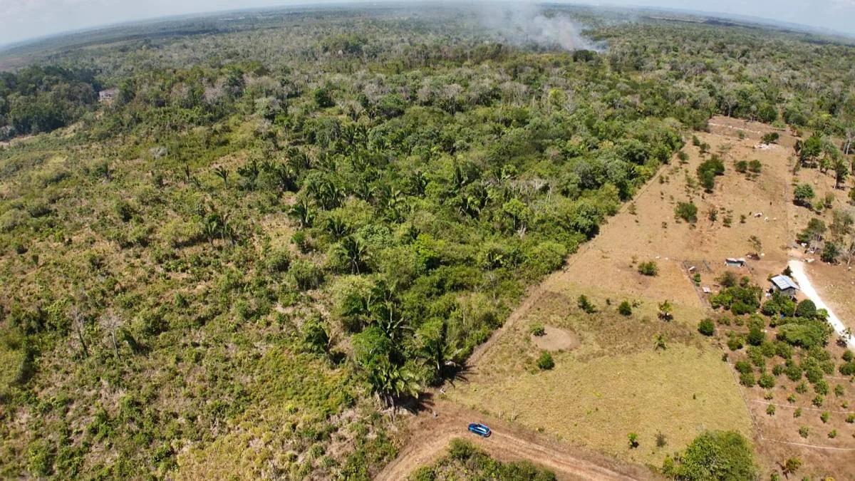 Escape to 25 acres of Agricultural Paradise near Belmopan - Photo 4