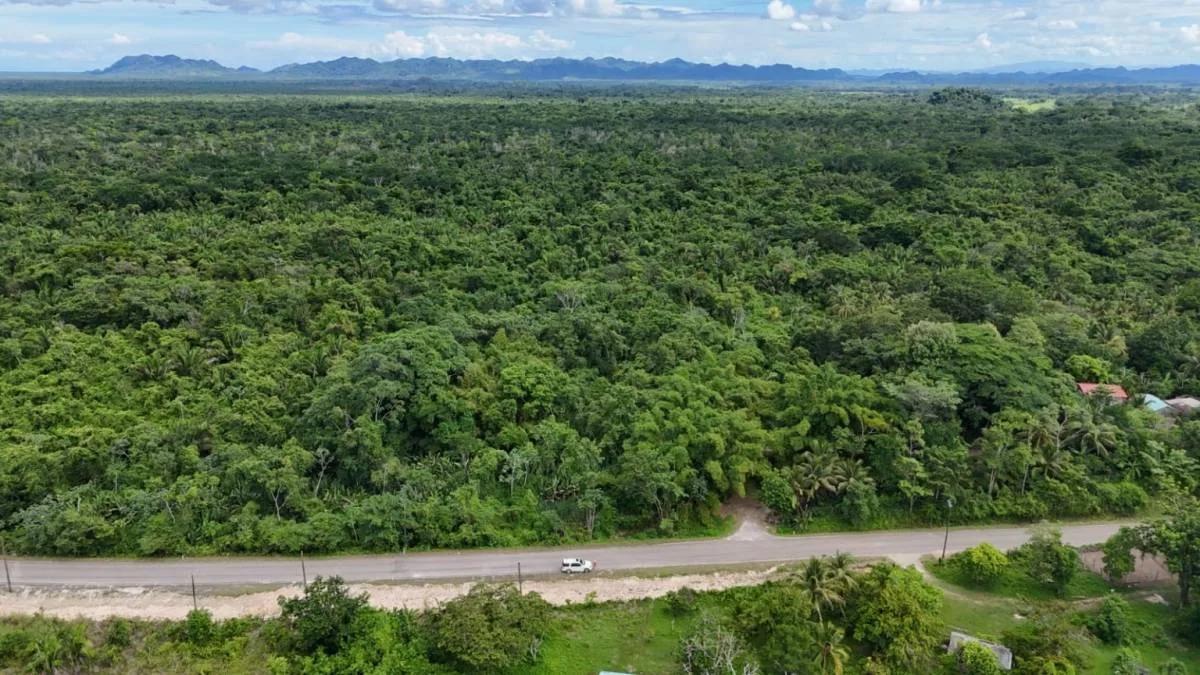 20 Acres in Crique Troso, Mafredi, Toledo District