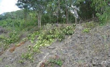 Development Property for sale - Photo 3