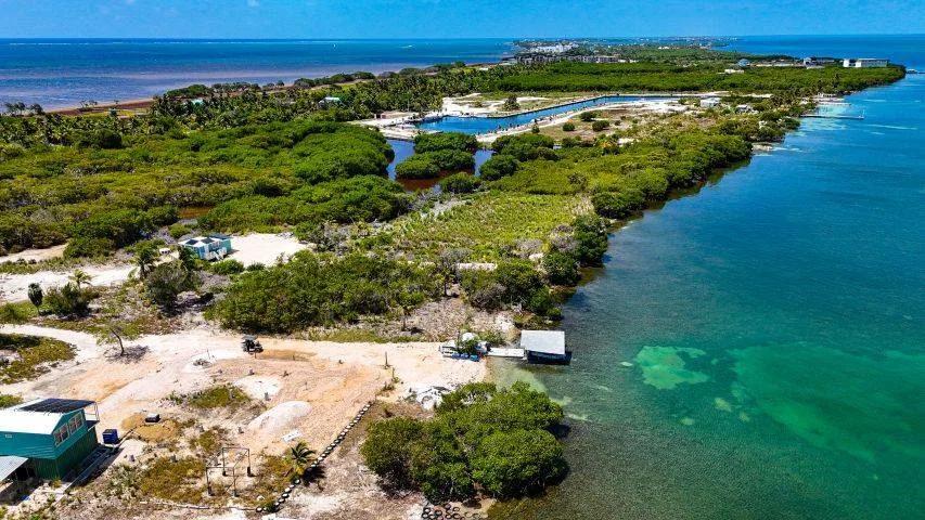 Large Piece of West Facing Beachfront- North Island - Photo 4