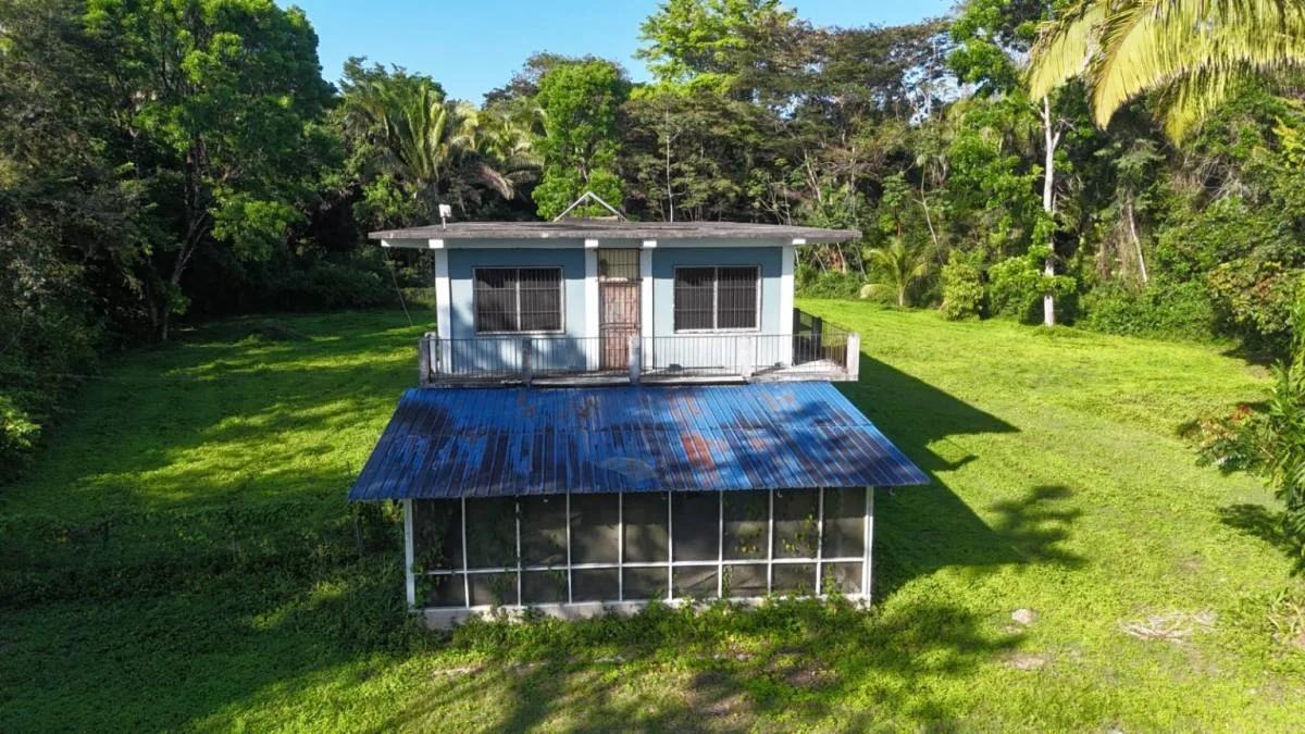 Tropical 3.93-Acre Property with Home Near Punta Gorda Town - Photo 6