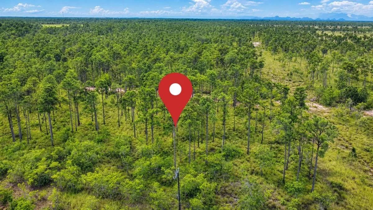 20-Acre Highway-Front Property for Sale | Southern Belize - Photo 2