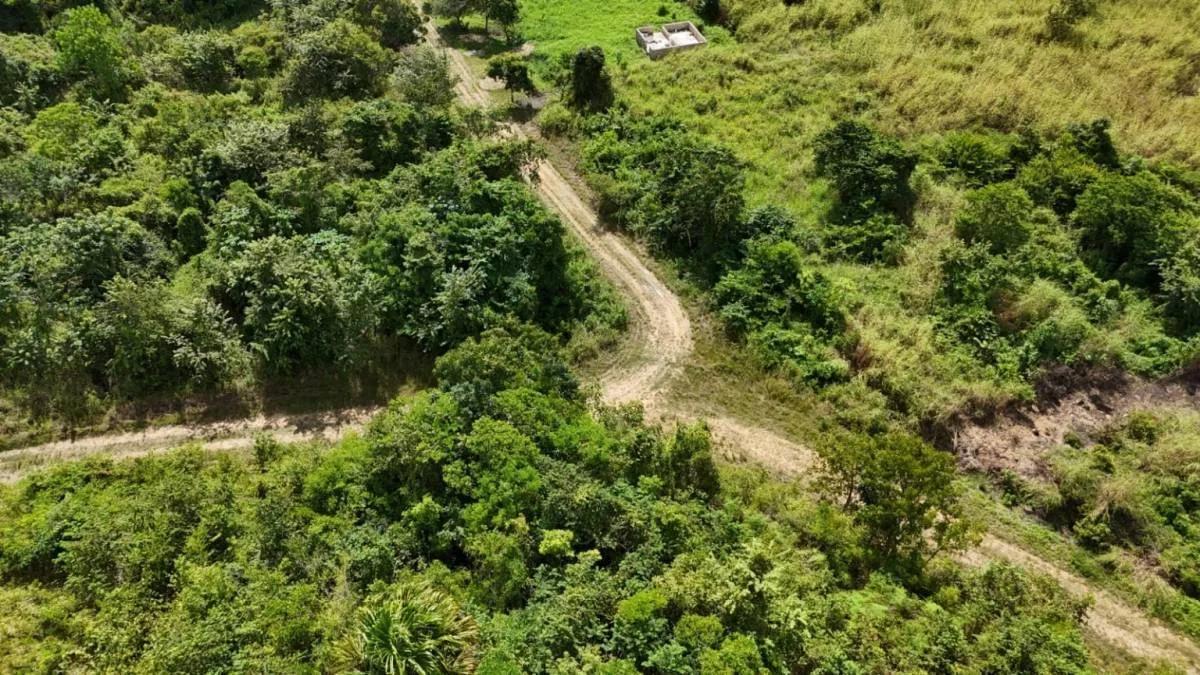 Belmopan Real Estate Opportunity: 1.16 Acres in Prime Location - Photo 6