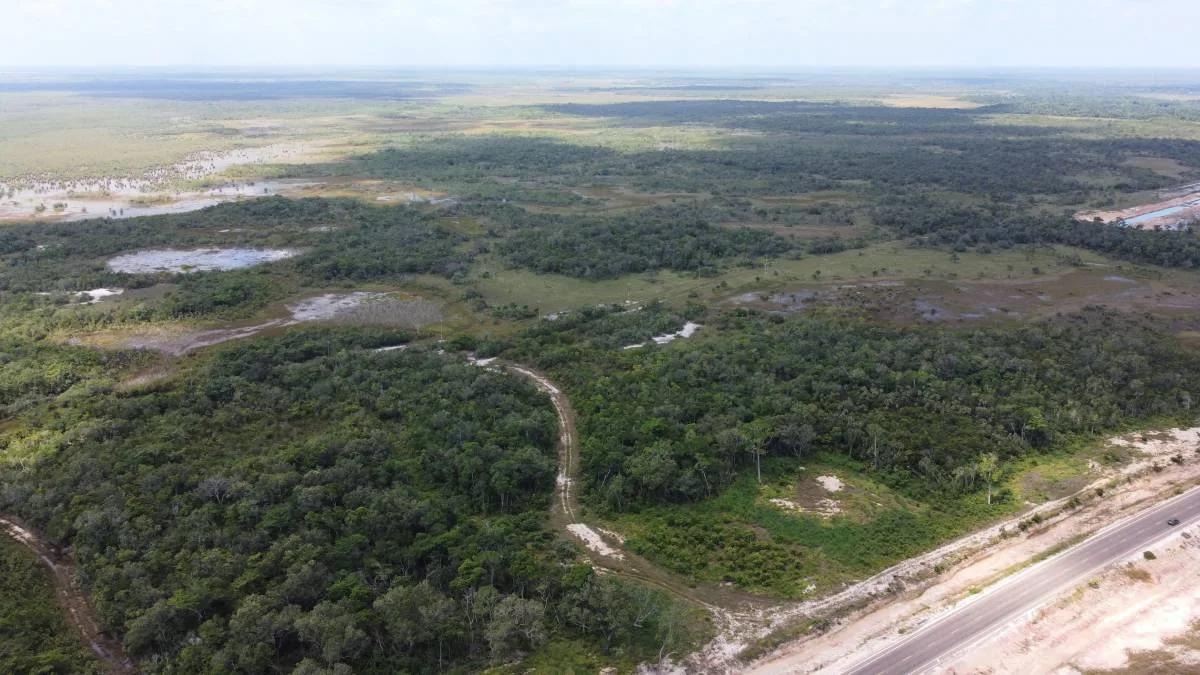 100 acres on John Smith Road - Photo 4