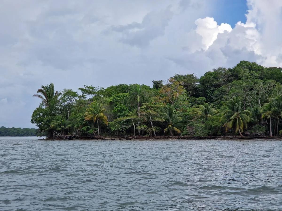 Searching for prime waterfront land for sale in Toledo ideal for development in a tranquil location? - Photo 2