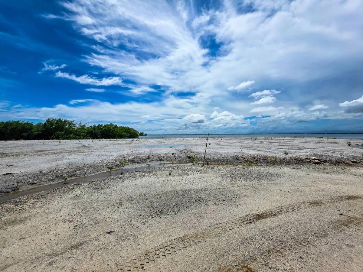 Stunning 1-Acre Lagoonfront Lot - Photo 5